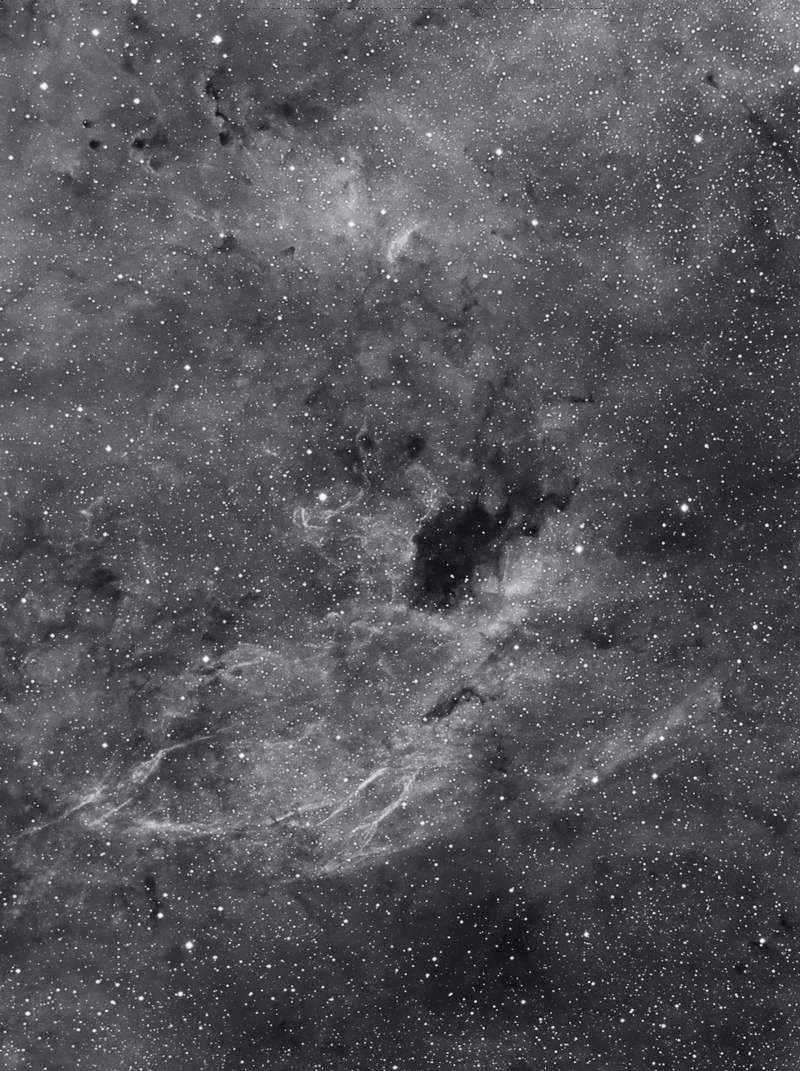 barnard343