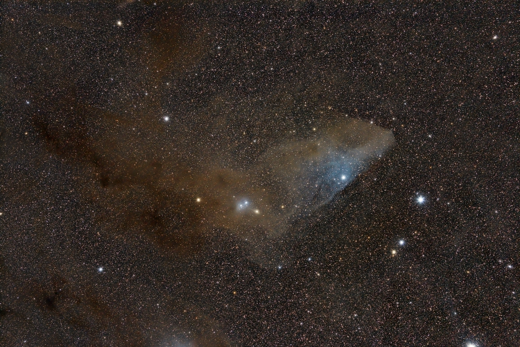 ngc4592