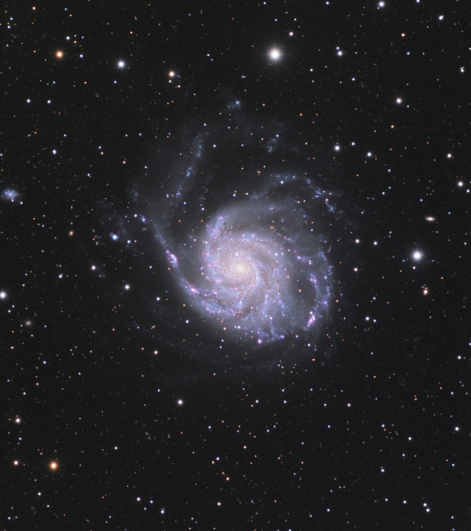 m101