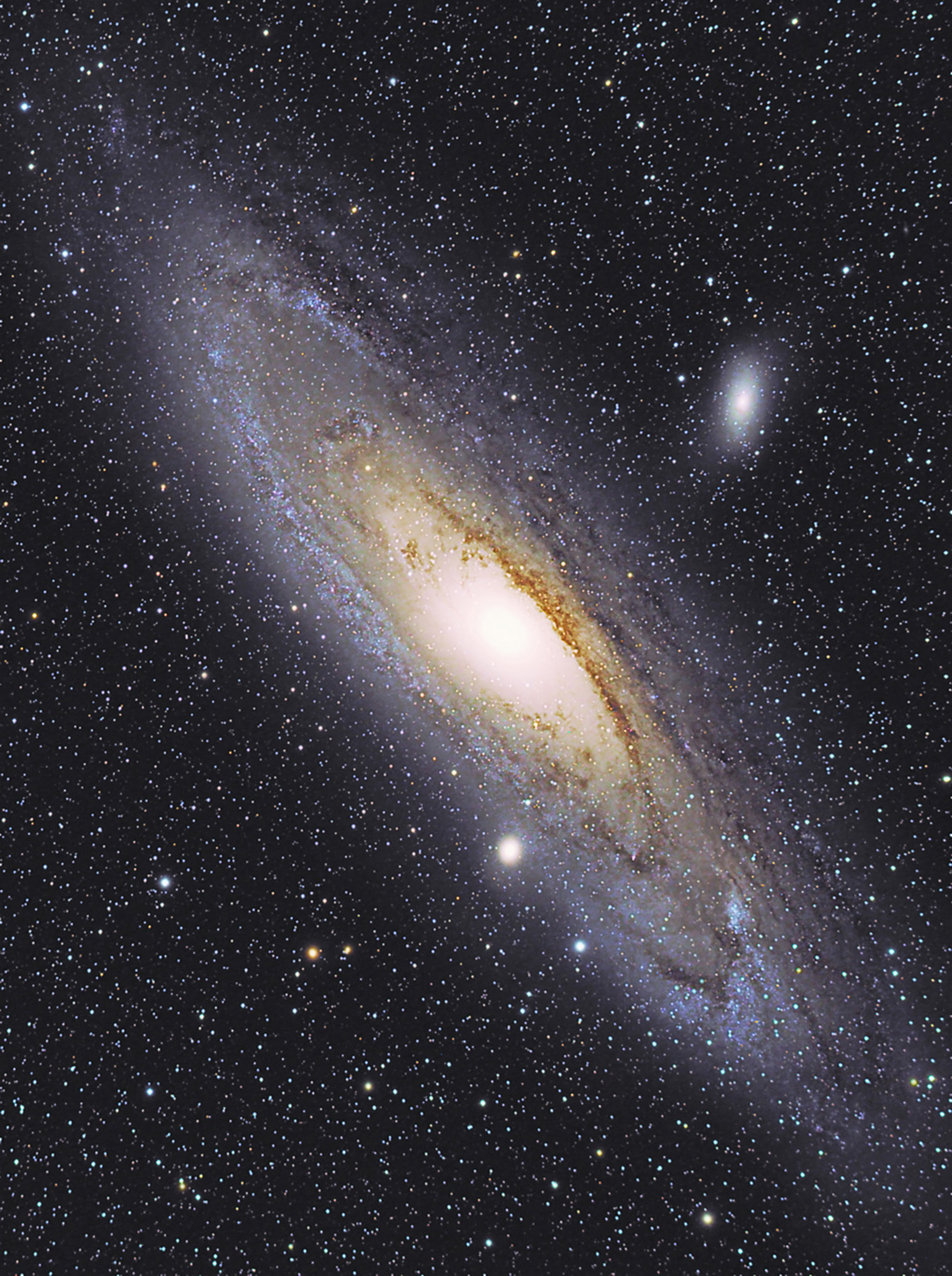 M31