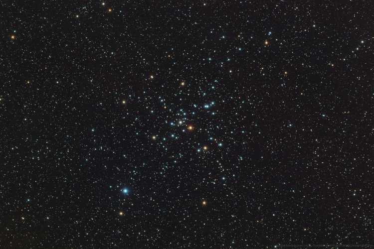 m41