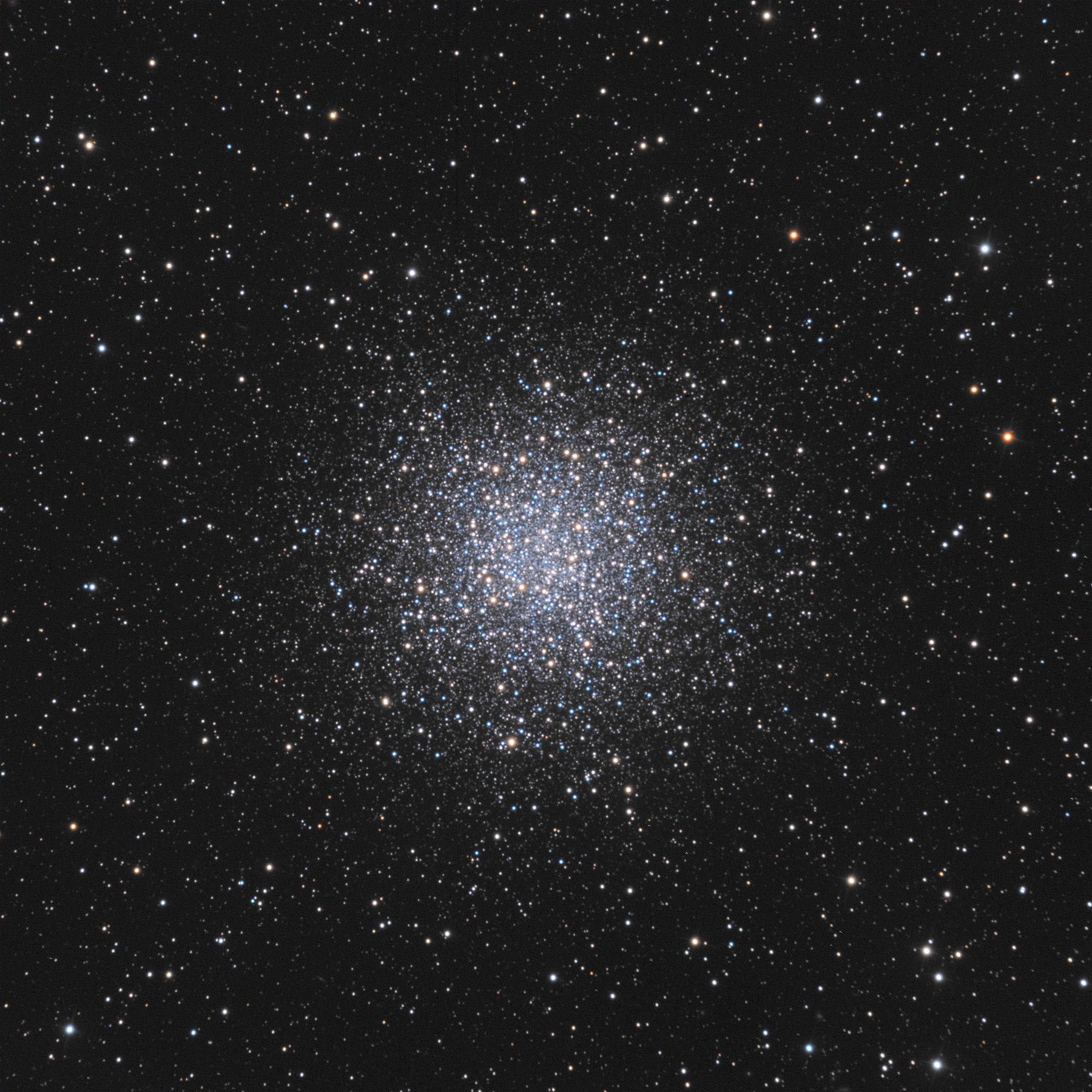 m55