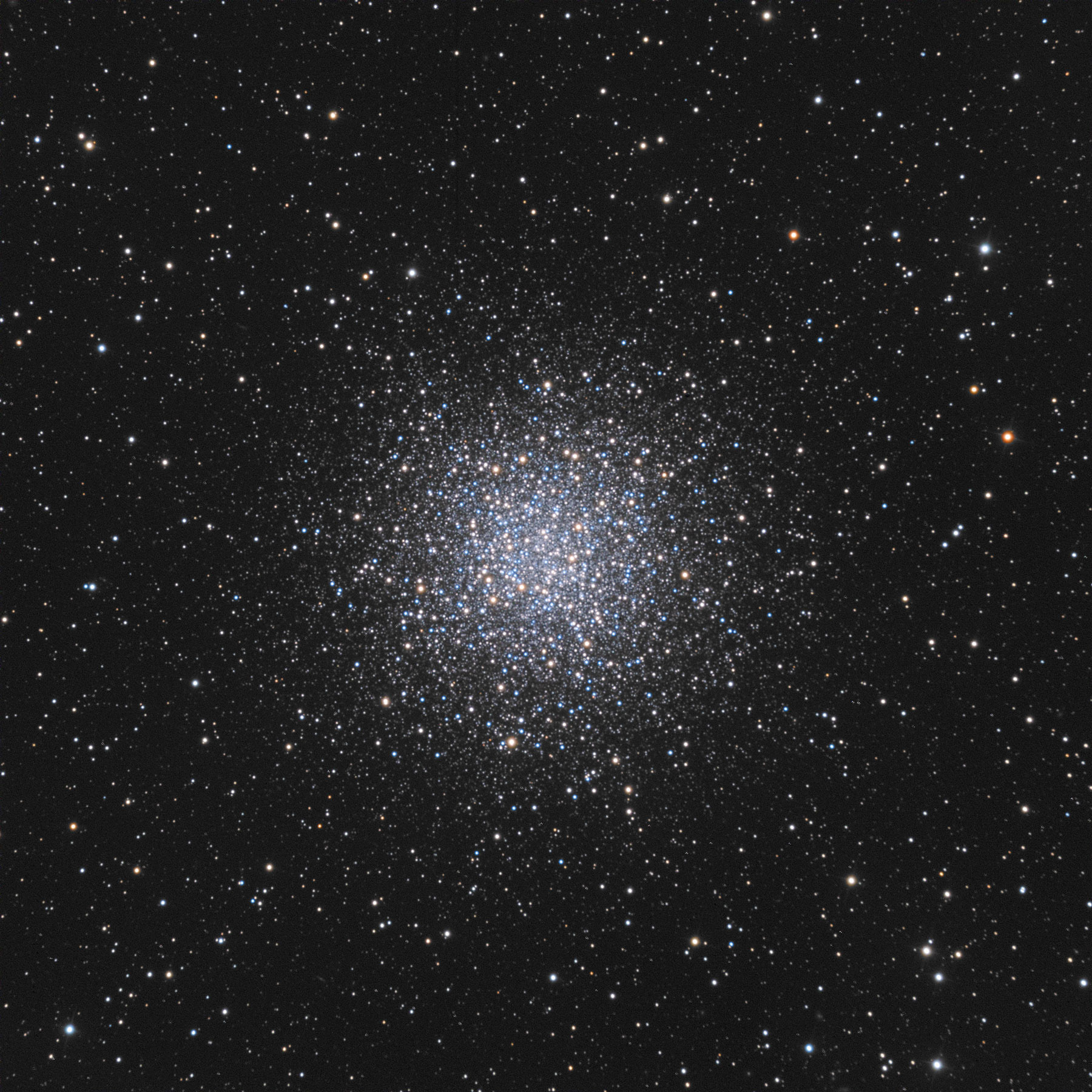 m55