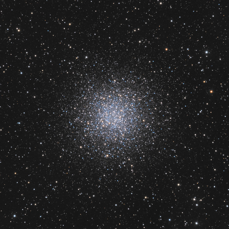 m55