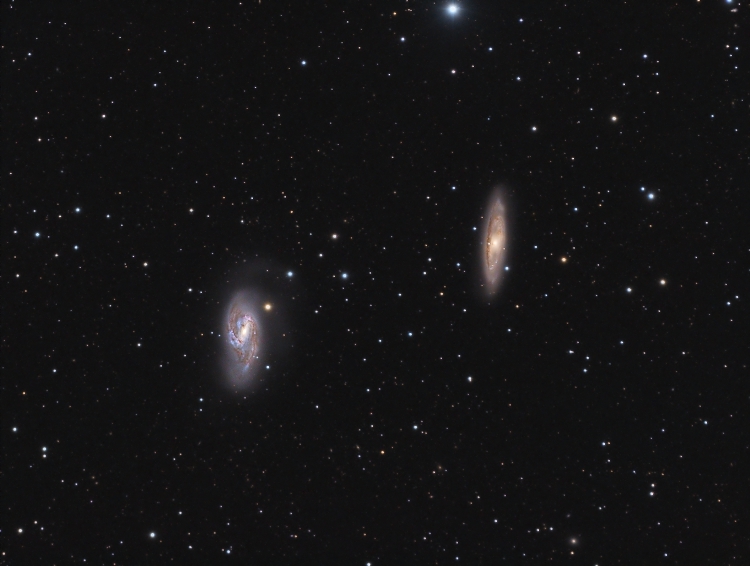 m65-66