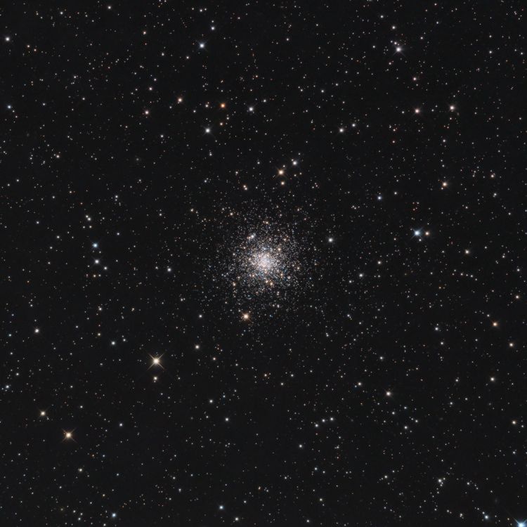 ngc2298