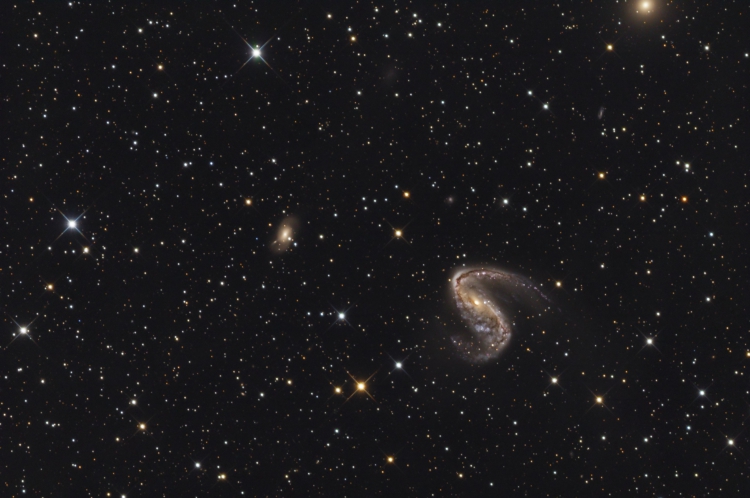 ngc 2442