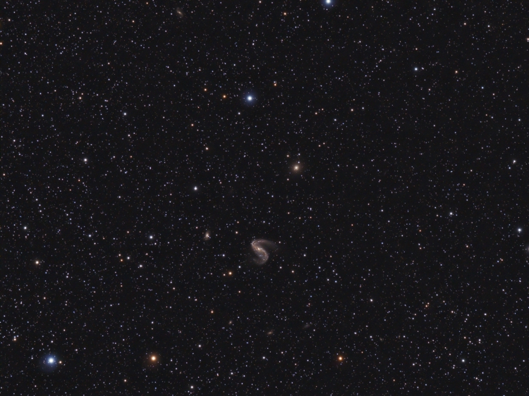 ngc 2442