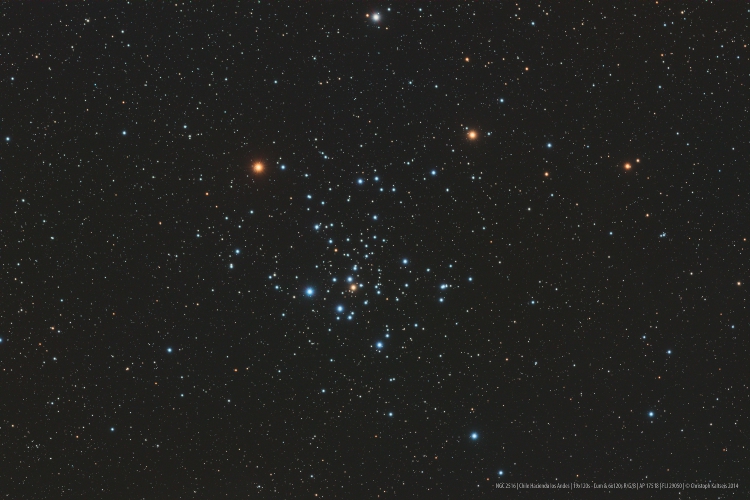 ngc2516