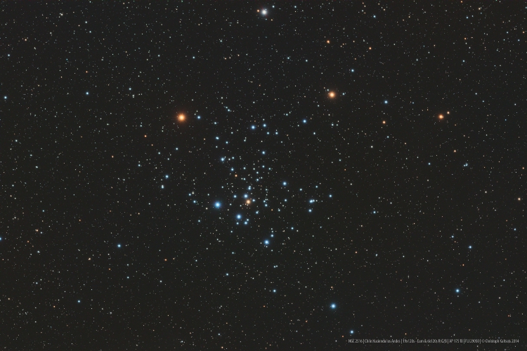 ngc2516