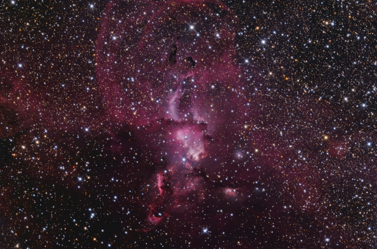 ngc3576