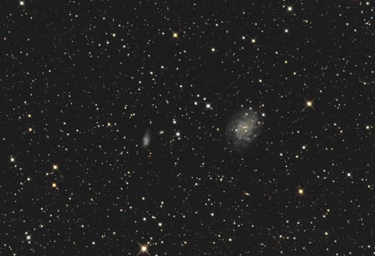 ngc 5556