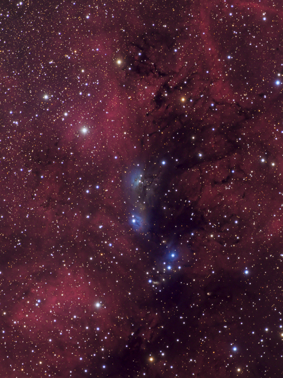 ngc6914