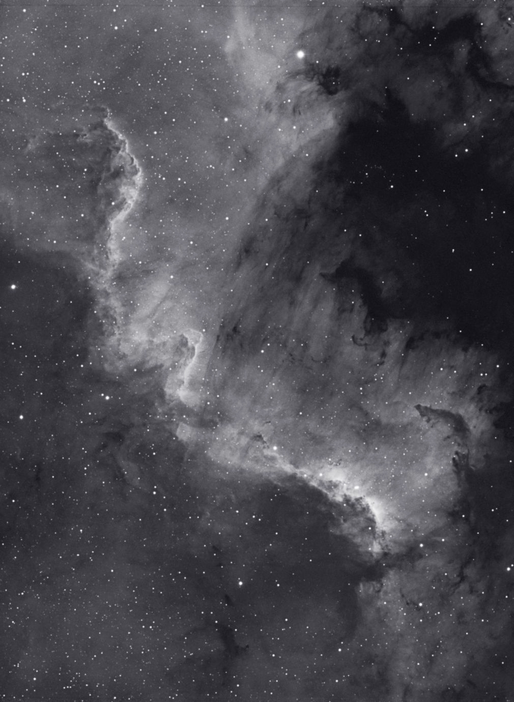 ngc7000