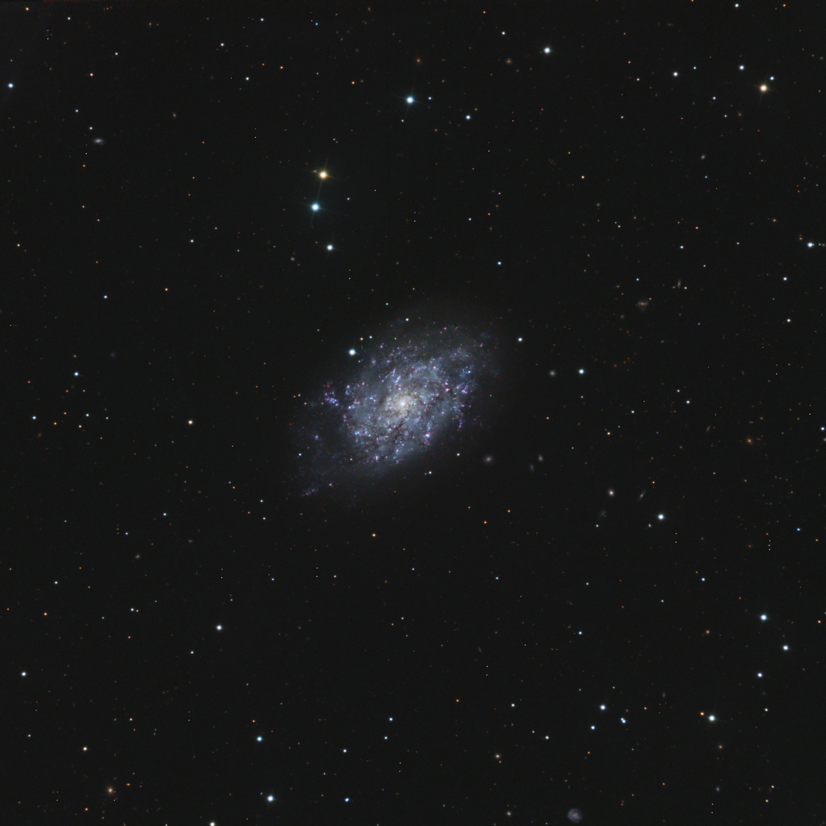 ngc7793 100%