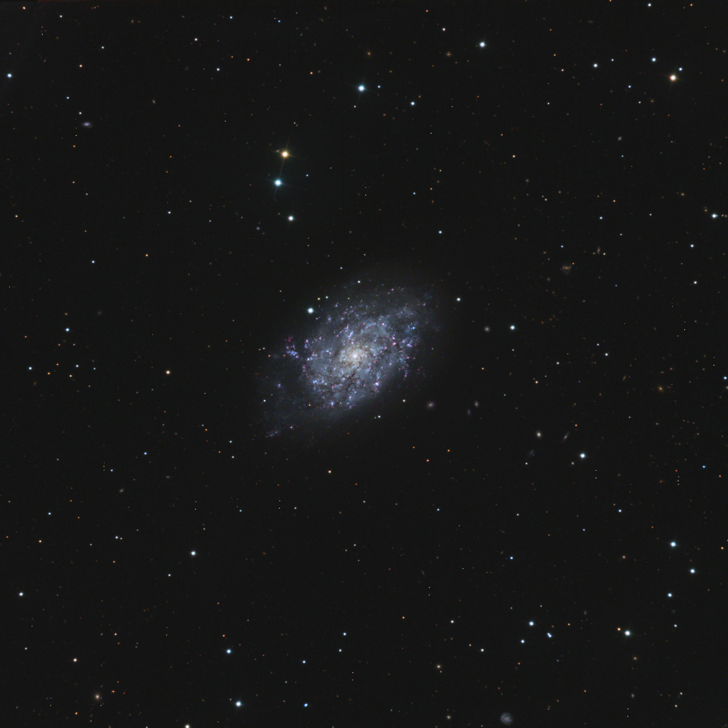ngc7793