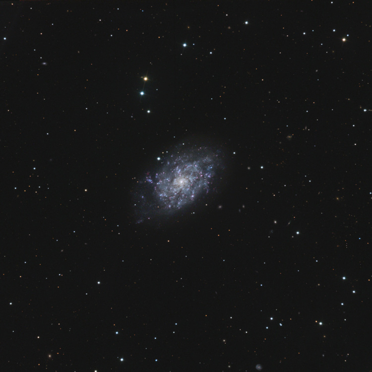 ngc7793