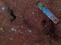 barnard174