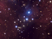 ngc6914