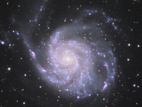 m101