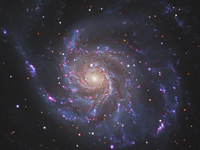 m101