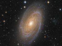 m81