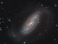 ngc1808