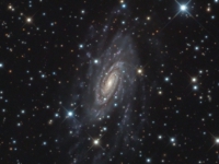 ngc2280
