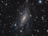 ngc2280