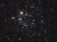 ngc2439