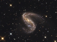 ngc2442