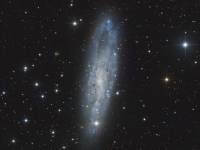NGC 247