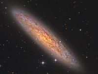 ngc253