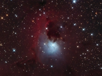 ngc2626