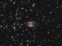 ngc2818