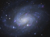 ngc 300