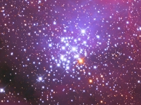 ngc3293