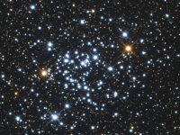 ngc3766