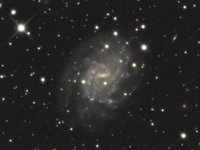 ngc5556