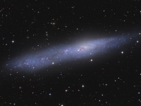  ngc 55