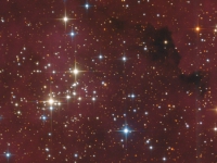 ngc6910