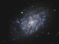 ngc7793